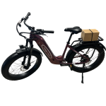 ebike