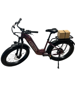 ebike