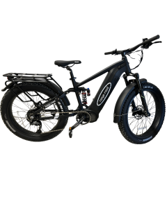 1000w ebike