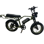 motrbike ebike
