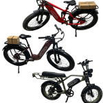 ebike